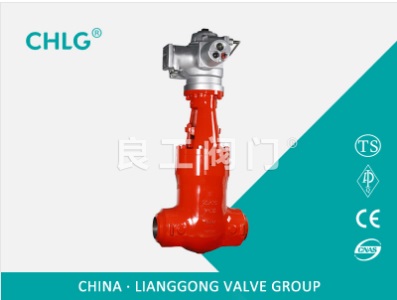 Electric Power Station Gate Valve